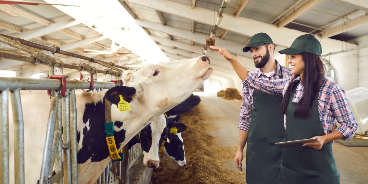 Memanfaatkan Teknologi RFID untuk Pengurusan Pertanian Ketepatan