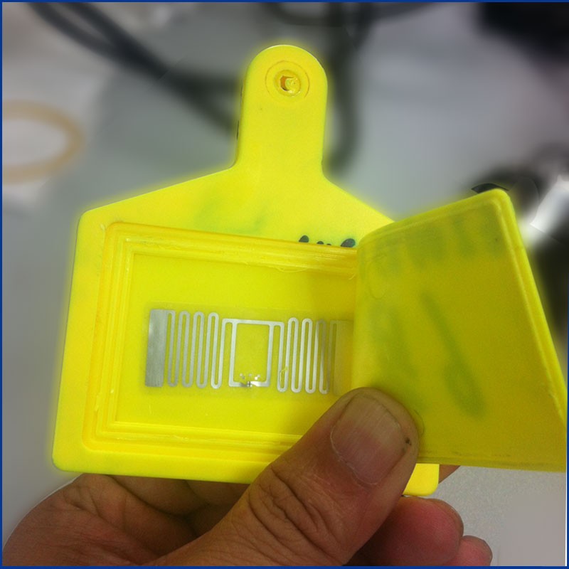 Tag Telinga Haiwan UHF RFID berkualiti tinggi JT-307