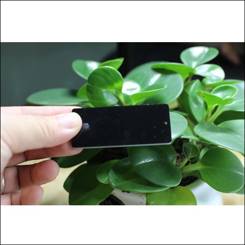 Tag Logam UHF JT-6025