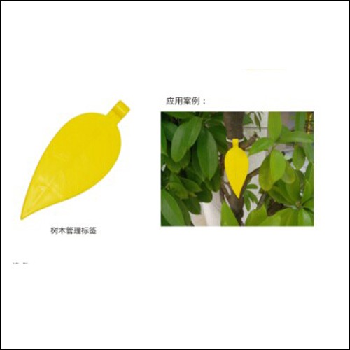 Tag Pendahulu Pasif RFID